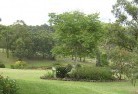 Julimarresidential-landscaping-40.jpg; ?>